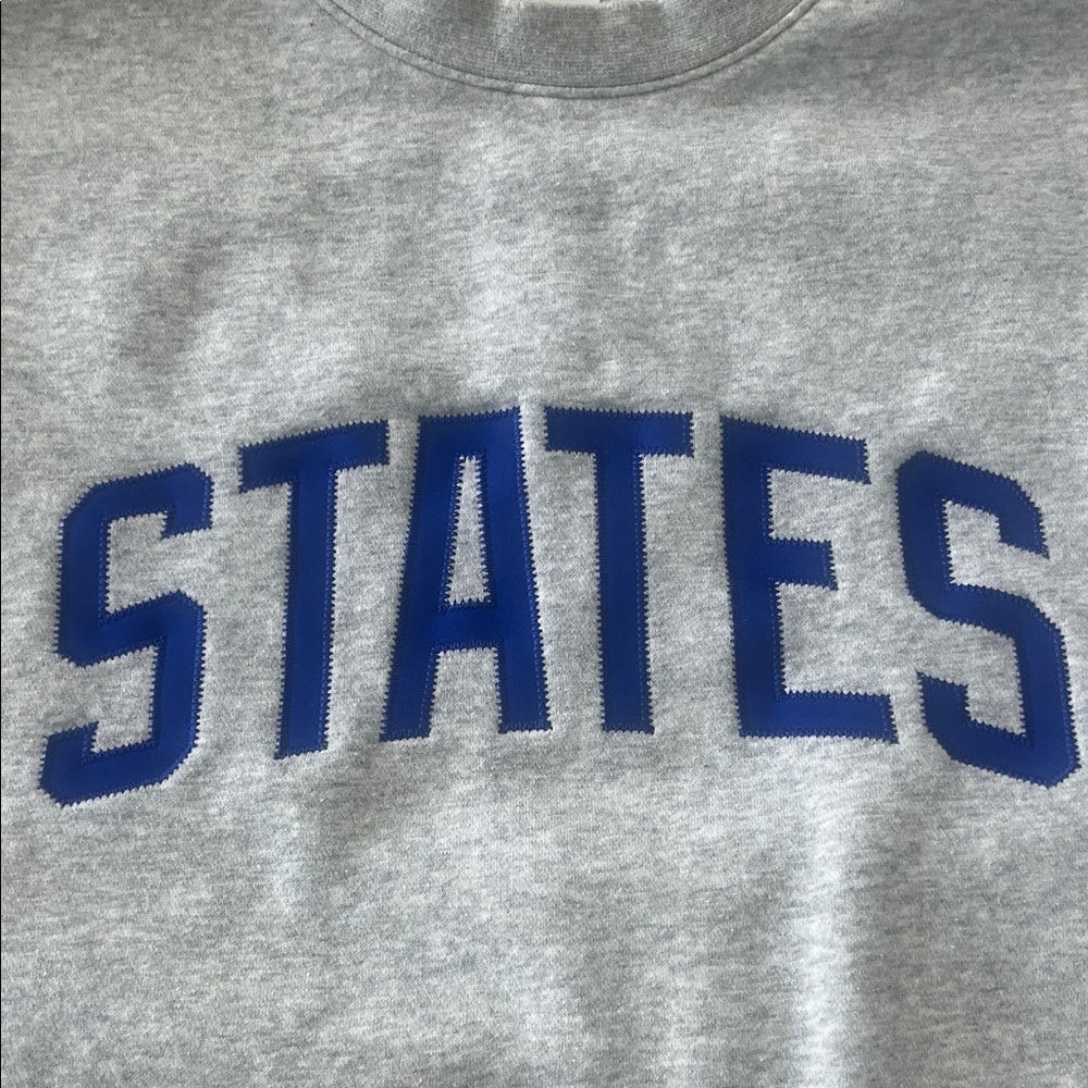 Men’s XXL Nike Gray Crewneck Sweatshirt with Blue STATES Graphic - Picture 3 of 12
